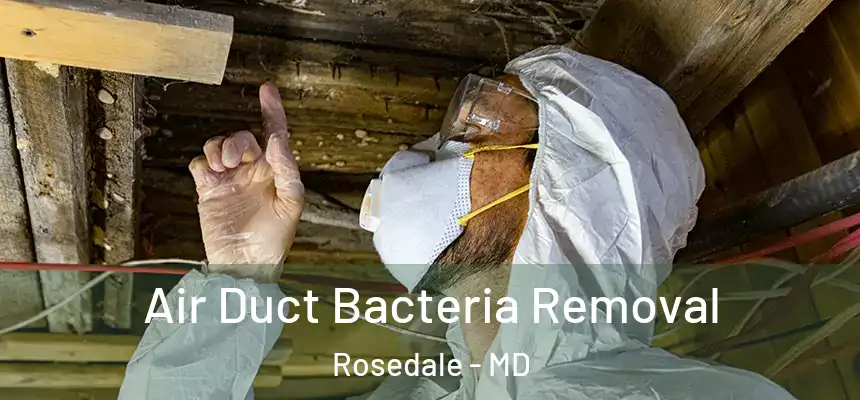  Air Duct Bacteria Removal Rosedale - MD