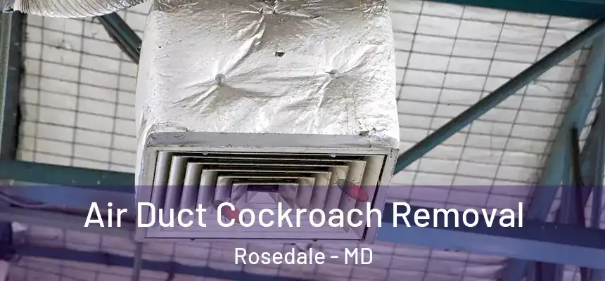  Air Duct Cockroach Removal Rosedale - MD
