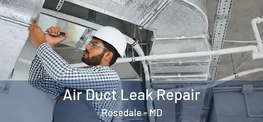  Air Duct Leak Repair Rosedale - MD