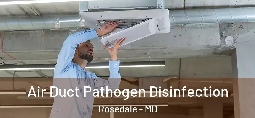  Air Duct Pathogen Disinfection Rosedale - MD