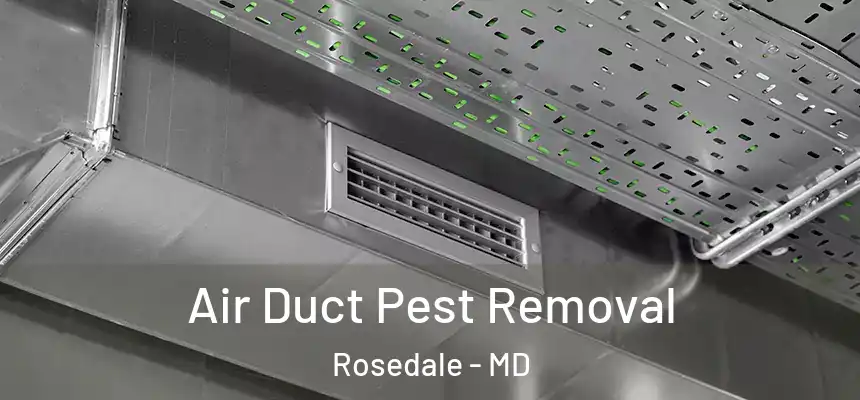 Air Duct Pest Removal Rosedale - MD