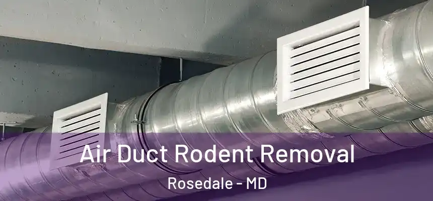  Air Duct Rodent Removal Rosedale - MD