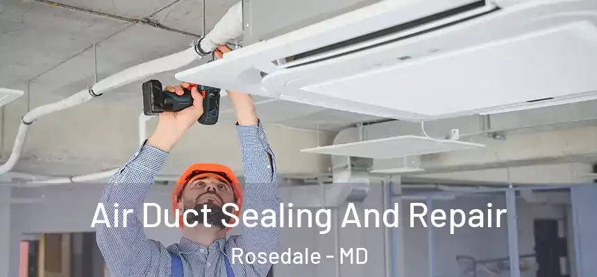 Air Duct Sealing And Repair Rosedale - MD