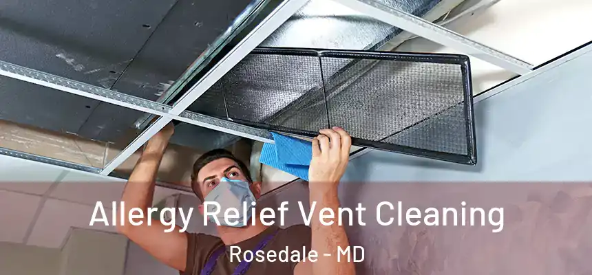  Allergy Relief Vent Cleaning Rosedale - MD