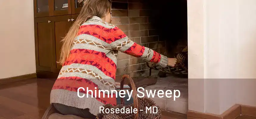  Chimney Sweep Rosedale - MD