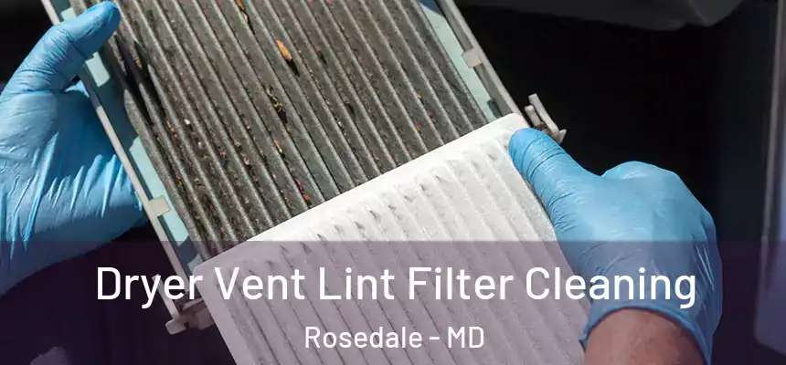  Dryer Vent Lint Filter Cleaning Rosedale - MD