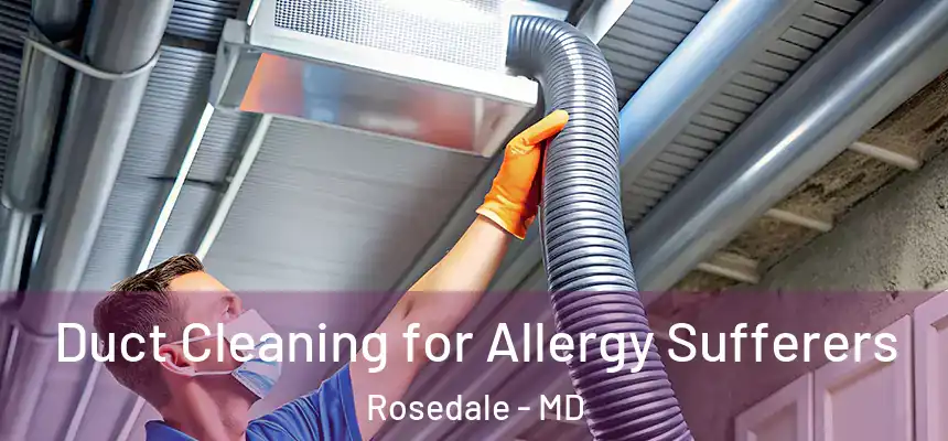  Duct Cleaning for Allergy Sufferers Rosedale - MD