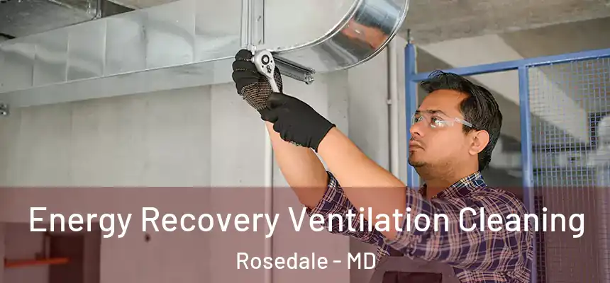  Energy Recovery Ventilation Cleaning Rosedale - MD