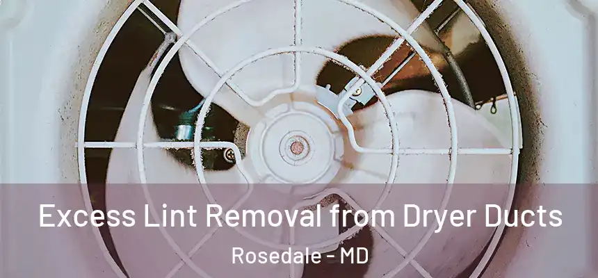  Excess Lint Removal from Dryer Ducts Rosedale - MD