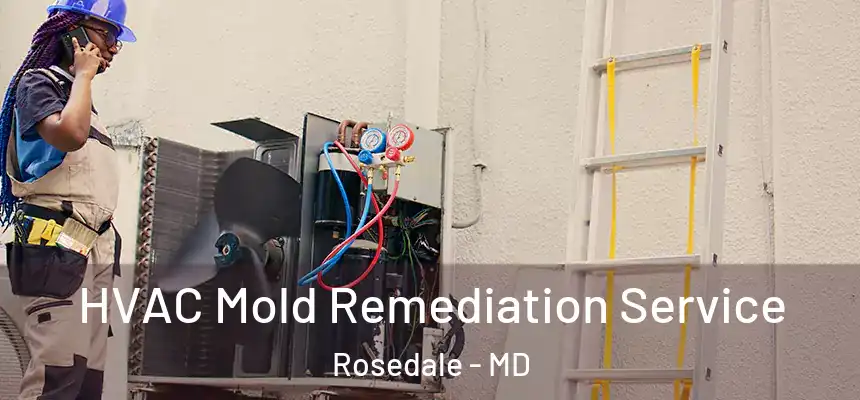  HVAC Mold Remediation Service Rosedale - MD