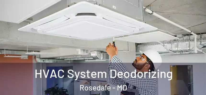  HVAC System Deodorizing Rosedale - MD