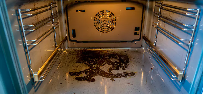 Our Dryer Vent Mold Cleaning Services in Rosedale, MD