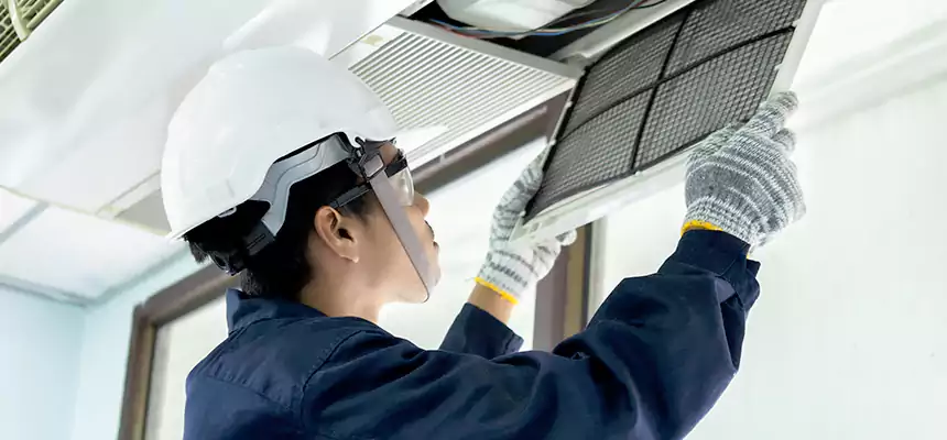 Our Mold & Mildew Removal from Air Ducts Services in Rosedale, MD