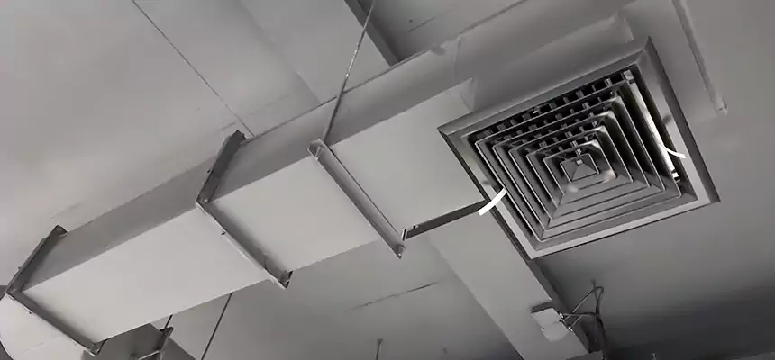 Our Pest Removal From Ducts Services in Rosedale, MD