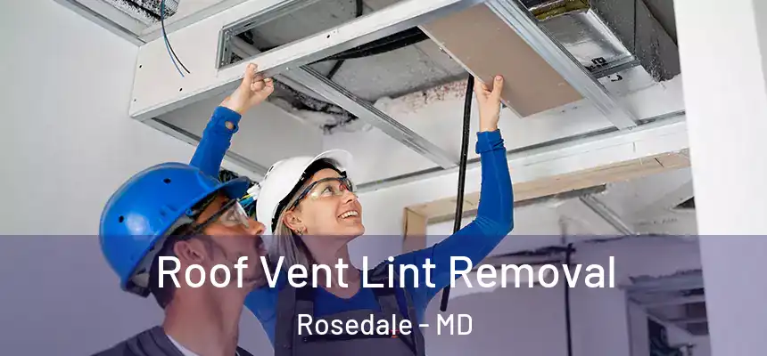  Roof Vent Lint Removal Rosedale - MD