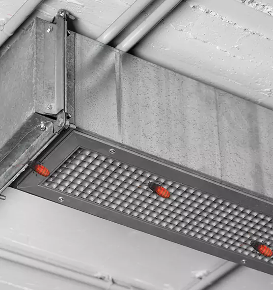 About Air Duct Cockroach Removal in Rosedale, MD