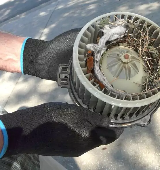 About Air Duct Mice Removal in Rosedale, MD