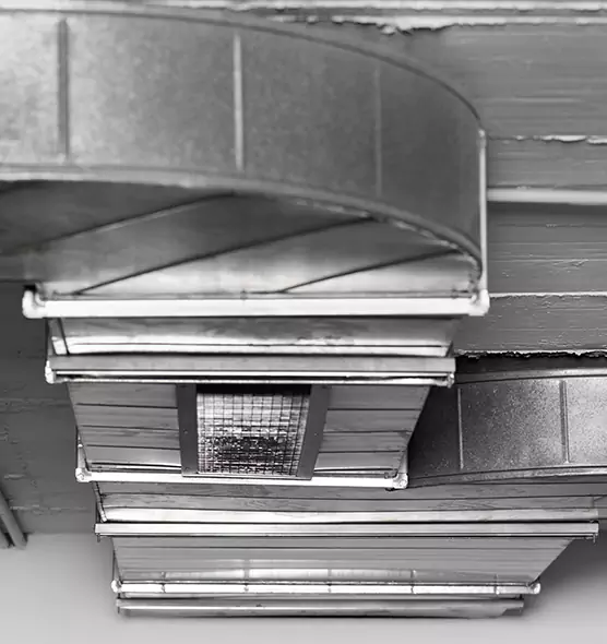 Professional Air Duct Pet Hair Removal in Rosedale, MD