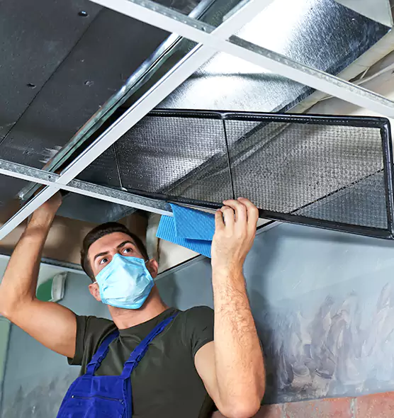 Professional Air Duct Pollen Cleaning in Rosedale, MD