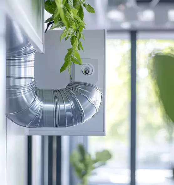 Professional Eco-Friendly Duct Cleaning Services in Rosedale, MD