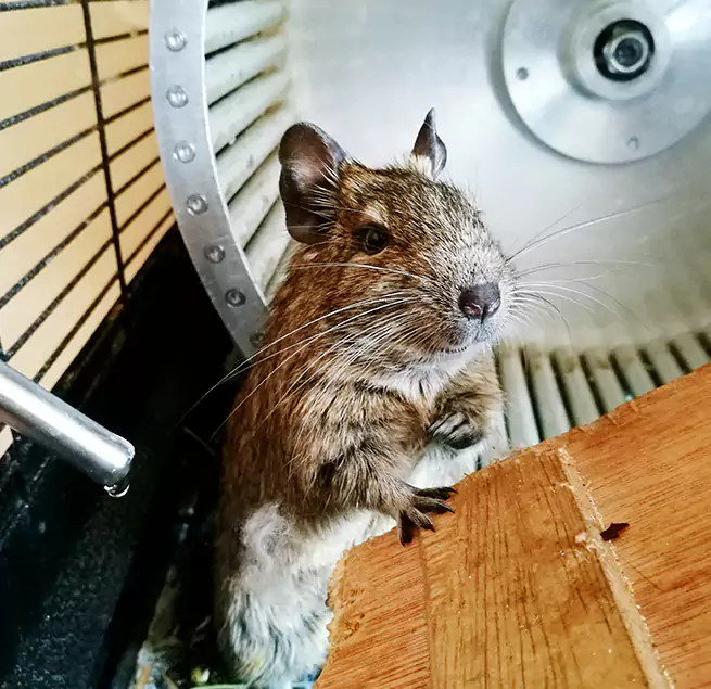 Why Homeowners & Businesses Trust Us Rosedale, MD