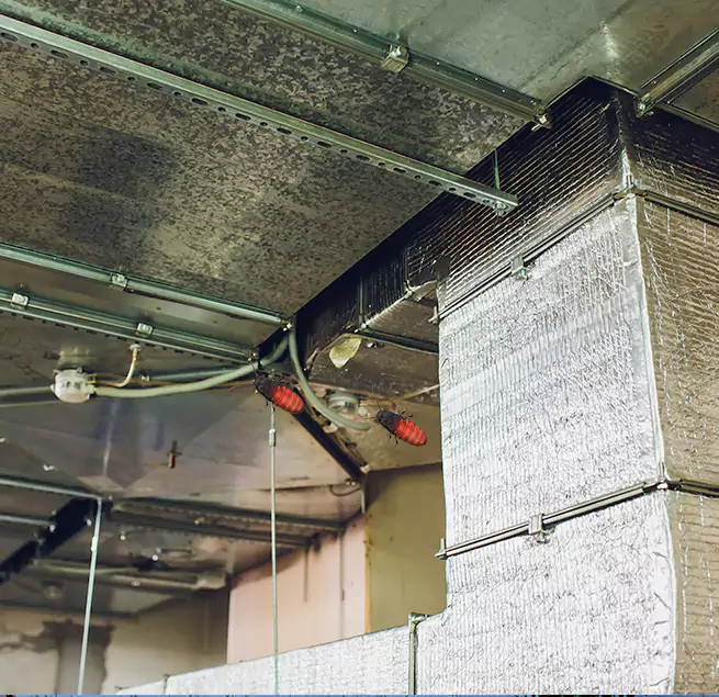 Why Homeowners & Businesses Trust Us Rosedale, MD?