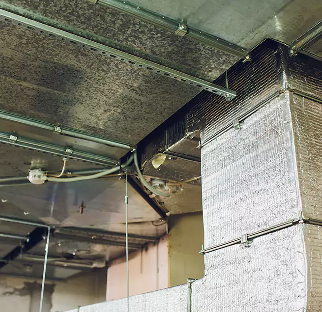 Why Homeowners & Businesses Trust Us in Rosedale, MD?