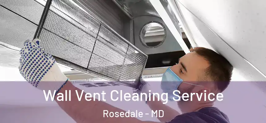 Wall Vent Cleaning Service Rosedale - MD